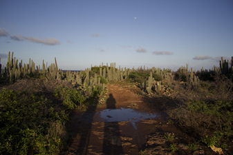 CURACAO 