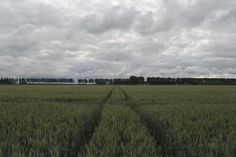 ZEEUWS VLAANDEREN, NL