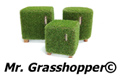 Mr. Grasshopper