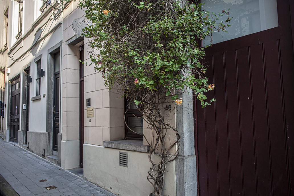 Harlan Levey Projects (HLP 1050), Brussels